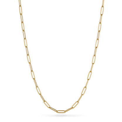 Murphys Sketches x Abbott Lyon Custom Robin Coin Necklace (Gold)