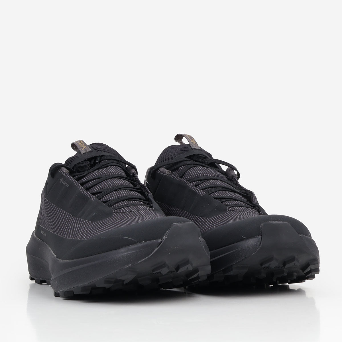 Arc'teryx Norvan LD 4 GTX Shoes