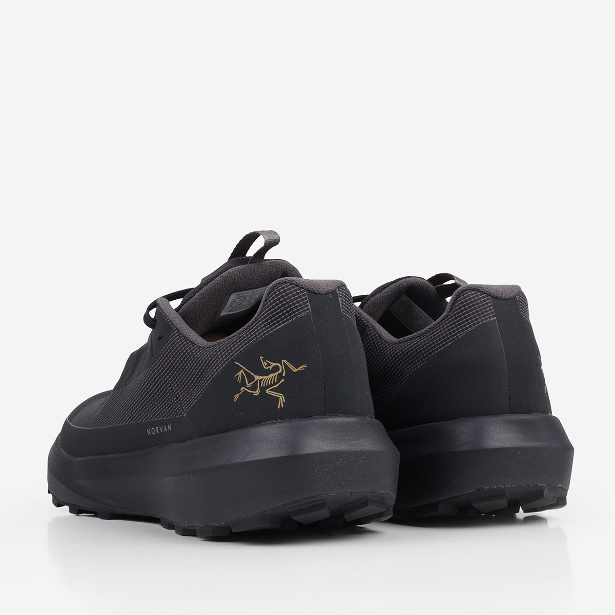 Arc'teryx Norvan LD 4 GTX Shoes