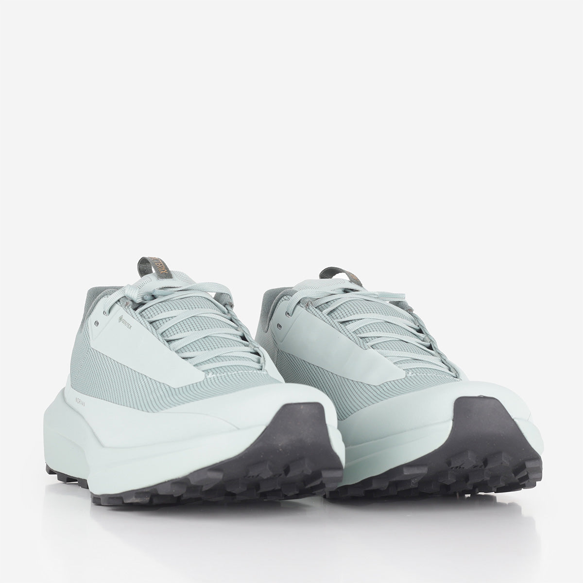 Arc'teryx Norvan LD 4 GTX Shoes
