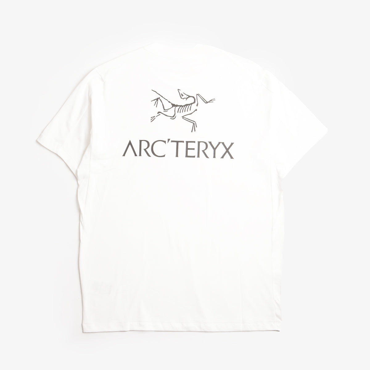 Arc'teryx Kragg SL Cotton Bird Word T-Shirt