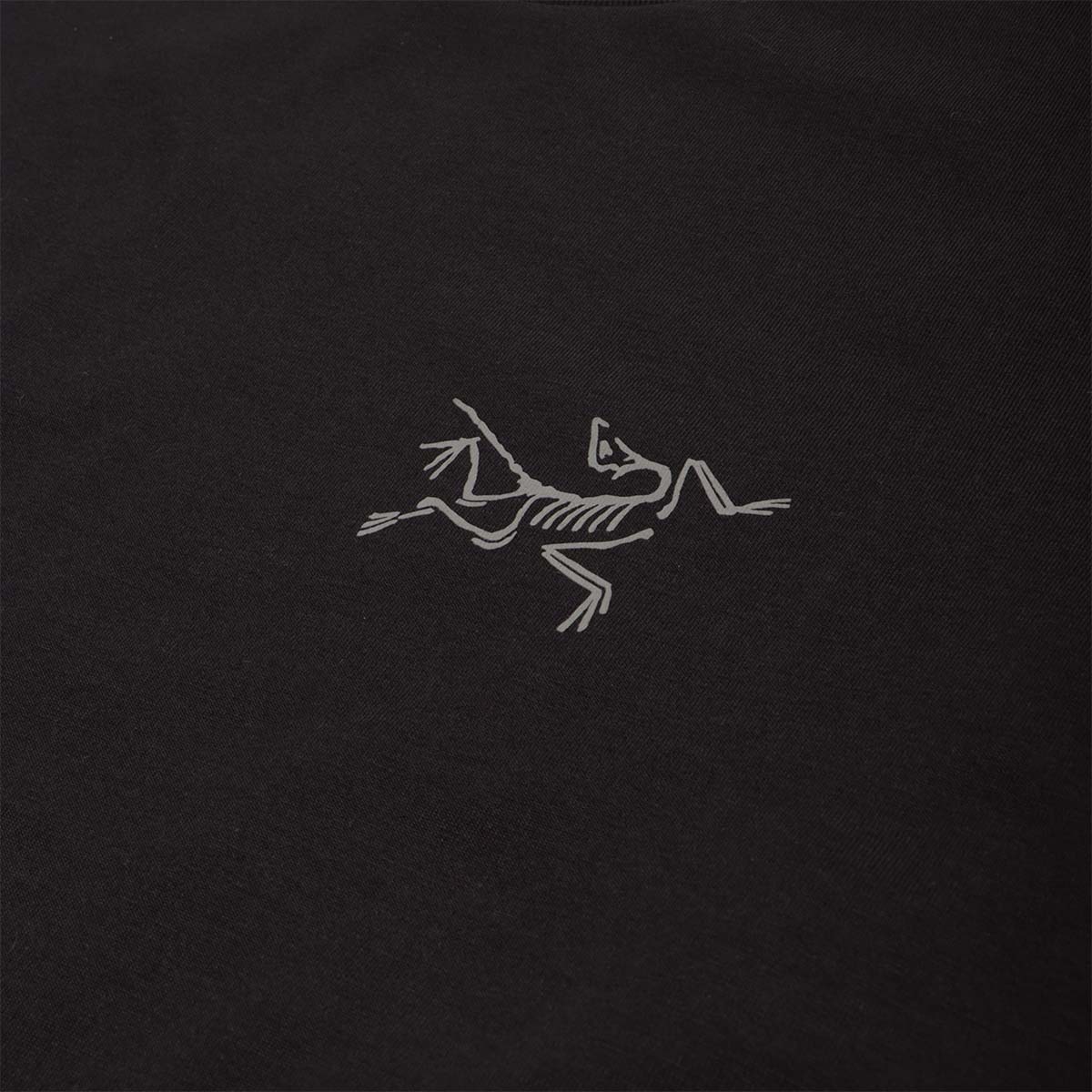 Arc'teryx Kragg SL Cotton Long Sleeve T-Shirt