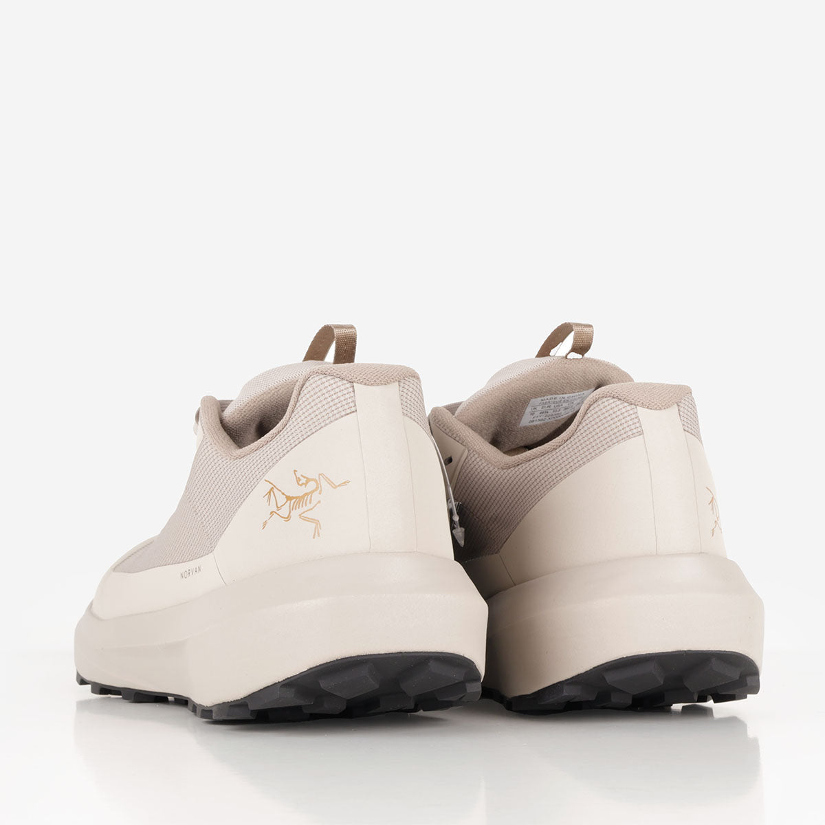 Arc'teryx Norvan LD 4 GTX Shoes