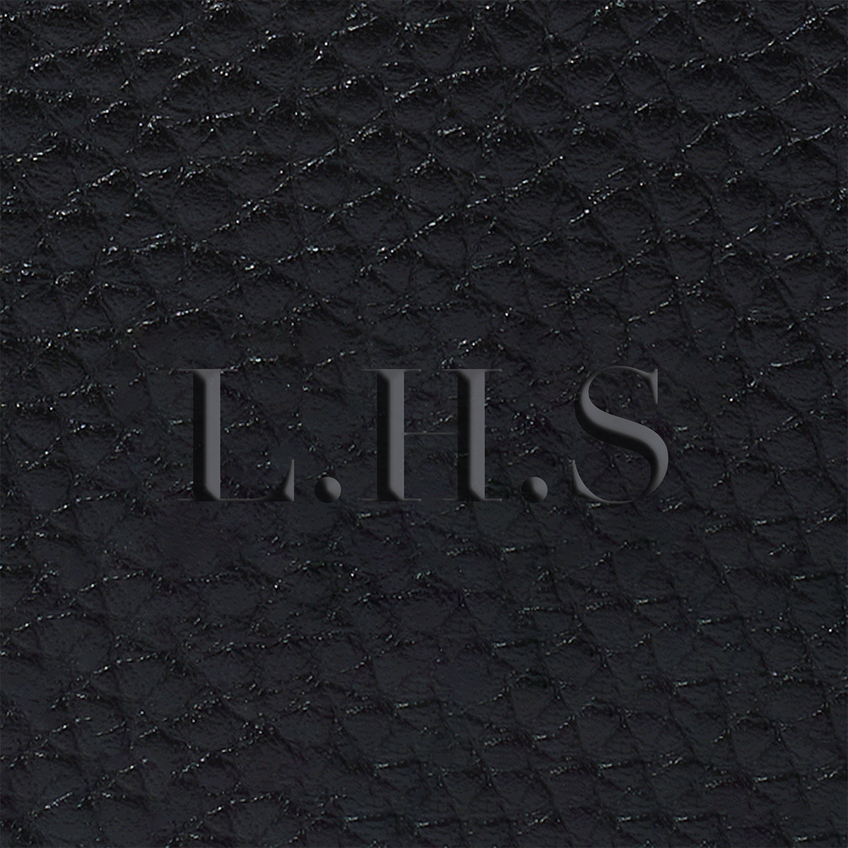 Leather Luggage Tag (Black)