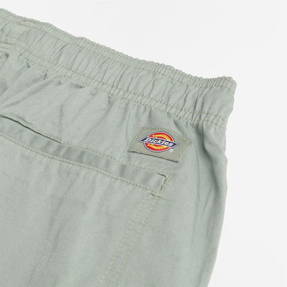 Dickies Pelican Rapids Shorts