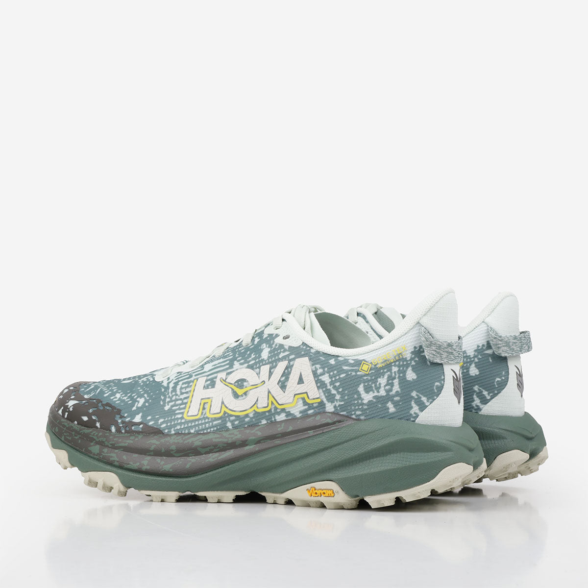 HOKA Speedgoat 6 GTX Shoes