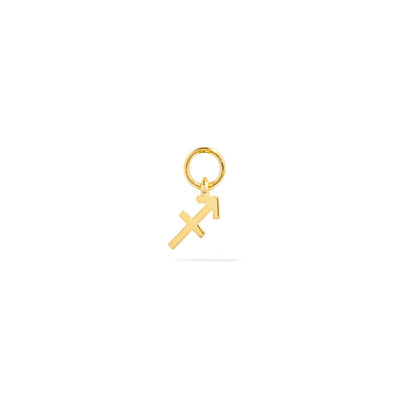 Stories Mini Zodiac Hoop Charm (Gold)