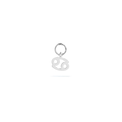 Stories Mini Zodiac Hoop Charm (Silver)